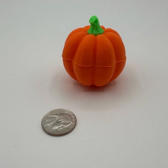 #1 LIMITED EDITION FLASH SALE Pumpkin “Mystery Box” (What’s in the Box?) - Picture 6 of 6